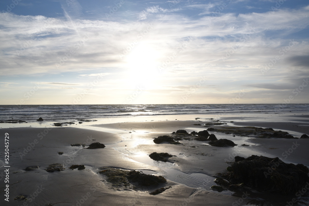 the remains of the petrified forest on Borth beach during low tide the remains of the petrified forest on Borth beach during low tide