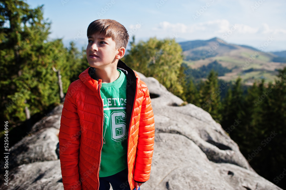 Naklejka premium Boy on top of mountain. Children hiking on beautiful day in mountains, resting on rock and admire amazing view peaks. Active family vacation leisure with kids.Outdoor fun and healthy activity.