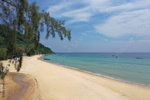 Fototapeta Naklejka Na Ścianę i Meble -  Tropical beach with stones and palm trees and a blue sea on Tioman Island in the South China Sea, belonging to Malaysia.