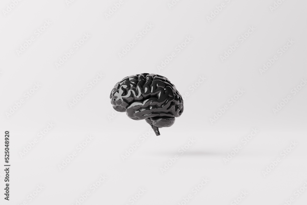 Black brain on an white background. Business concept, brain storming, looking for answers, ideas. Intelligence. 3d rendering, 3d illustration. Black brain on an white background. Business concept, brain storming, looking for answers, ideas. Intelligence. 3d rendering, 3d illustration.