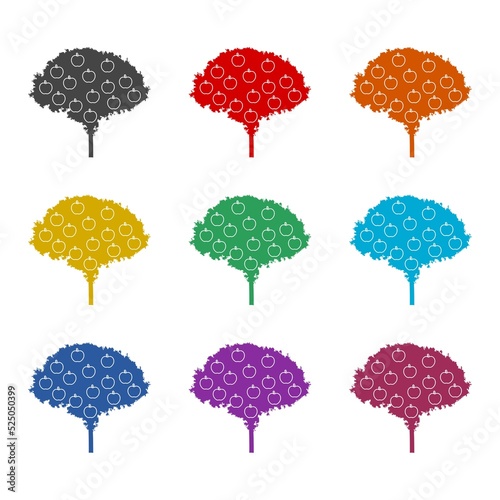 Tree apple glyph icon. Set icons colorful photo