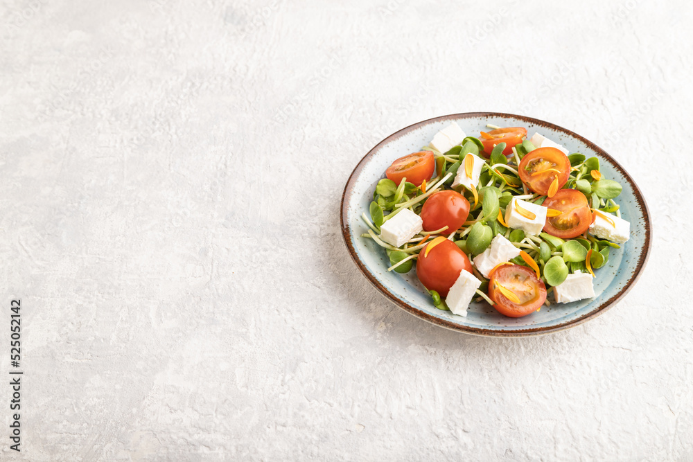 Vegetarian salad of tomatoes, marigold, microgreen, feta cheese on gray. Side view, copy space. Vegetarian salad of tomatoes, marigold, microgreen, feta cheese on gray. Side view, copy space.