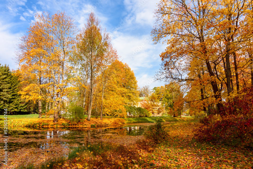 Autumn foliage in Catherine park, Pushkin, Saint Petersburg, Russia