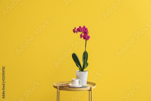 Orchid flower, cup of coffe...