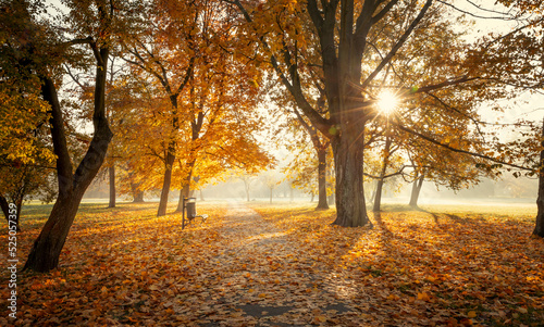 Beautiful city park in autumn
