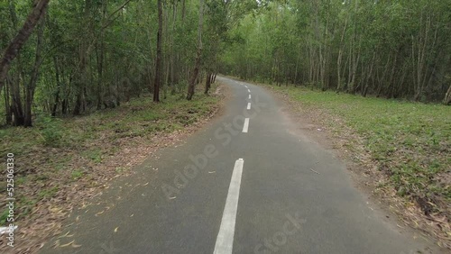 road in the forest, Peppara reservoir and wildlife sanctuary road, Trivandrum, Kerala photo