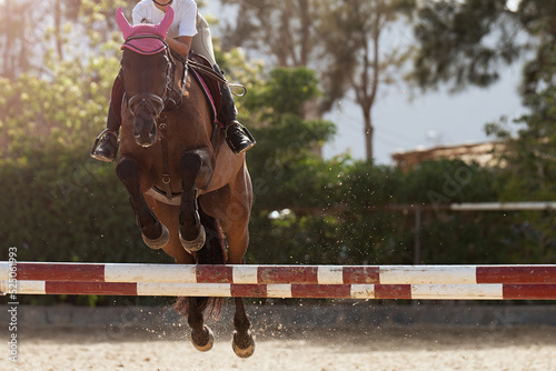 Sport horse jumping over a barrier on a obstacle course, rider in uniform performing jump at show jumping competition