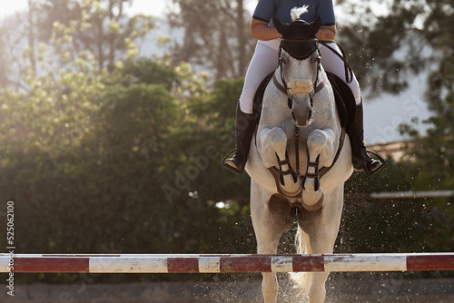 Foto Sport horse jumping over a barrier on a obstacle course, rider in uniform perfor
