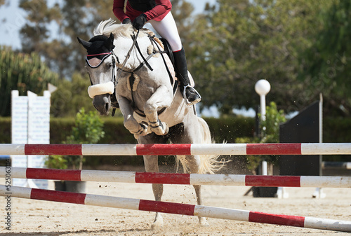 Sport horse jumping over a barrier on a obstacle course, rider in uniform performing jump at show jumping competition