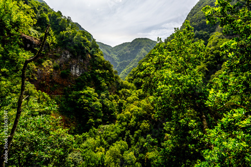 Madeira - Levada do Castelejo