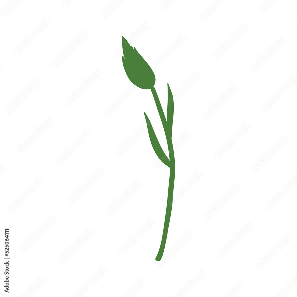 Decorative Cornflower shape, Knapweed vector hand drawn ink illustration isolated on white, doodle sketch Centaurea botanical herb silhouette for design herbal tea, cosmetic, natural medicine Decorative Cornflower shape, Knapweed vector hand drawn ink illustration isolated on white, doodle sketch Centaurea botanical herb silhouette for design herbal tea, cosmetic, natural medicine