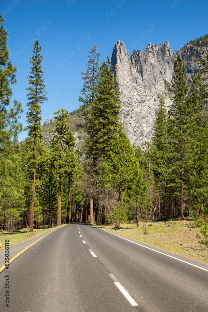 The road through Yosemite National Park, California, USA