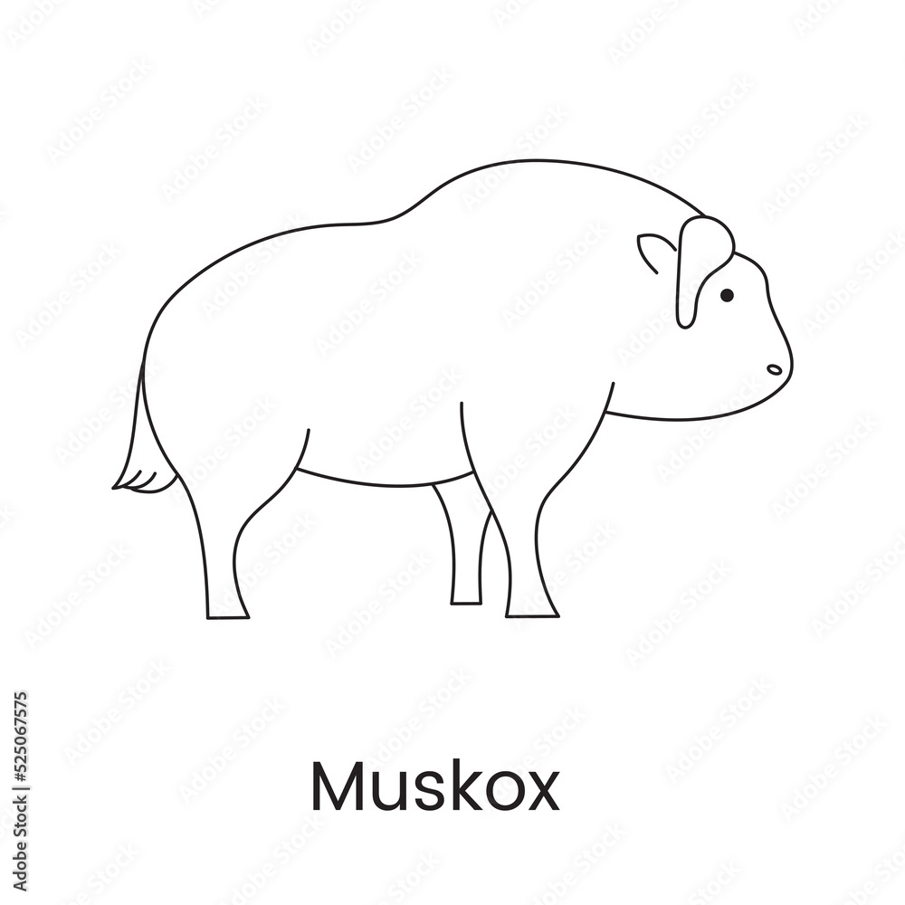 Musk ox line icon in vector, illustration of animal