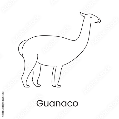 Guanaco is a line icon in a vector  an illustration of an animal.