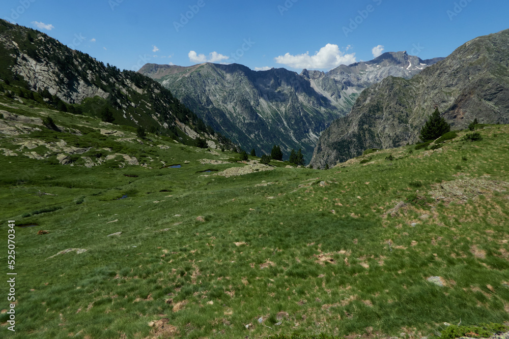 Pyrenean meadow in the mountains