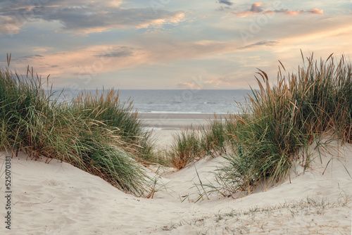Fototapeta Naklejka Na Ścianę i Meble -  sand dunes and grass on beach