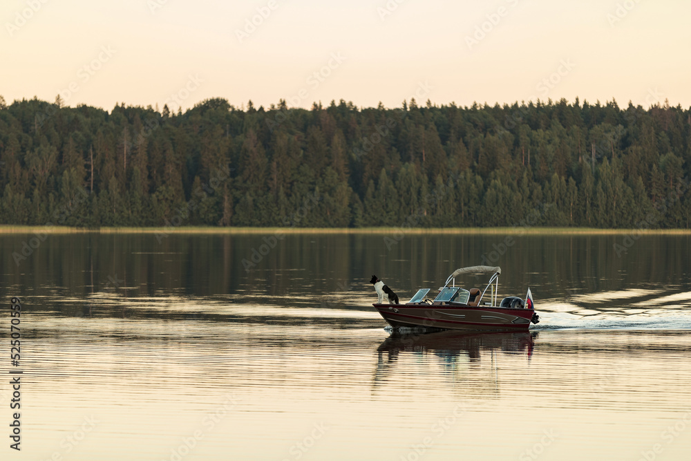 The dog stands on the bow of a motor boat floating on the lake