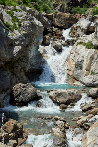 mountain river in the forest