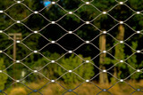 Wire fence - mesh in the garden, texture. detail