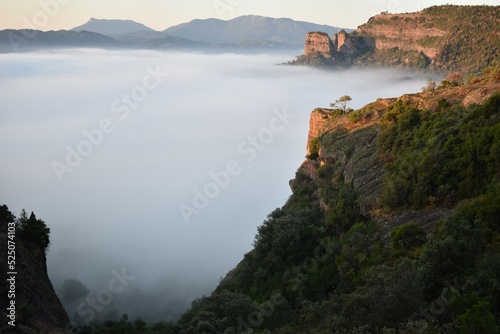 fog in the mountains 