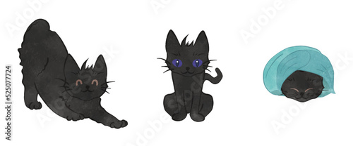 Cute black cat illustration set