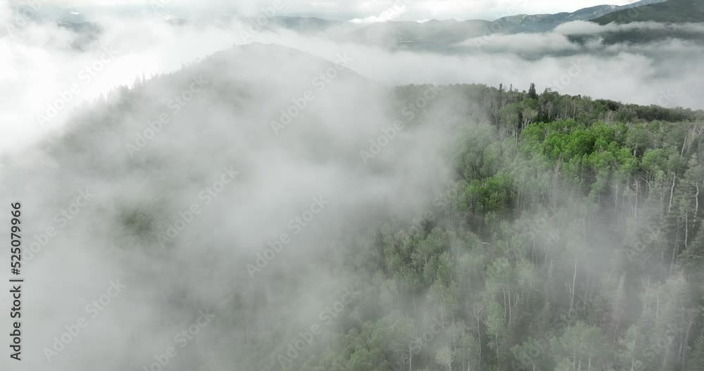 Aerial of low fog hanging over mountain and forest trees. Aerial of low fog hanging over mountain and forest trees.