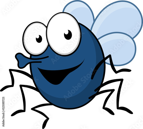 Cartoon fly isolated diptera insect