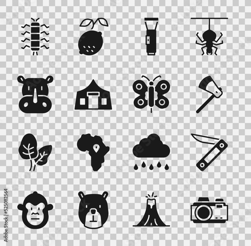 Set Photo camera, Swiss army knife, Wooden axe, Flashlight, Tourist tent, Rhinoceros, Centipede insect and Butterfly icon. Vector