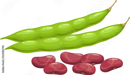 Wallpaper Mural Pod of kidney beans, seeds isolated legumes food Torontodigital.ca
