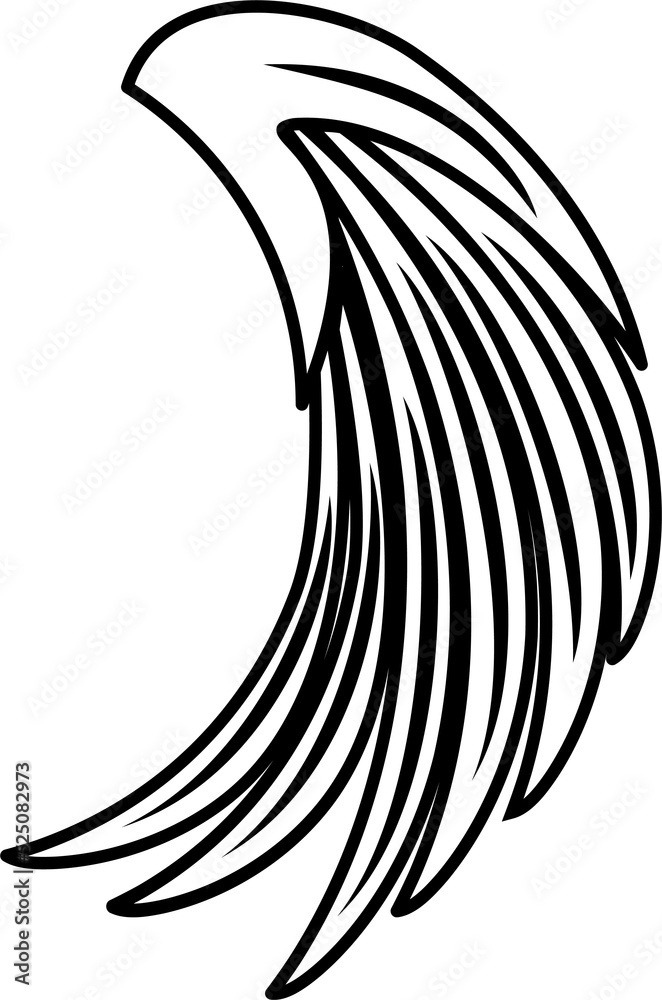 Falcon or eagle wing, symbol of freedom
