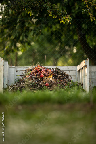 Food waste in compost pit on private garden. Rotting organic waste for compost. Outdoor.