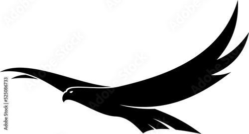 Hawk flying bird isolated silhouette