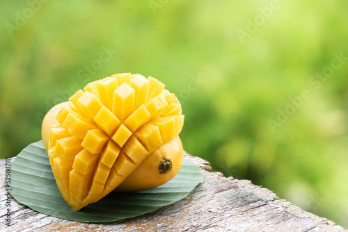 Ripe mango fruits on nature background.