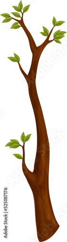 Branch of tree with leaves isolated spring symbol