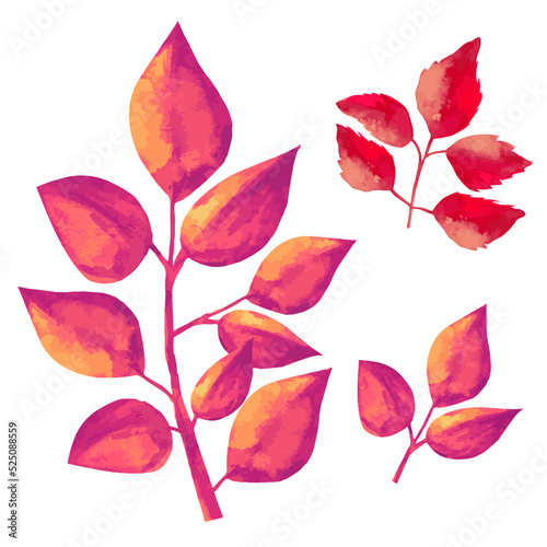 set of dry oak leaves on a branch illustration