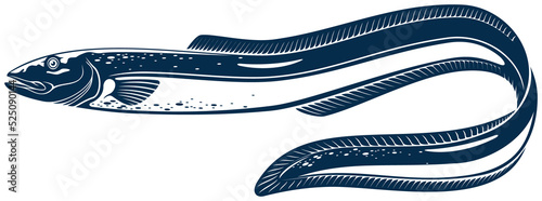 Obraz na płótnie Electric eel isolated eel-shape underwater fish