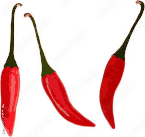 set of red chili peppers vector art.