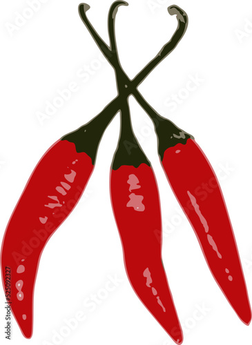 set of red chili peppers vector art.