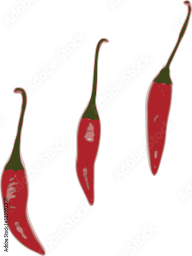set of red chili peppers vector art.