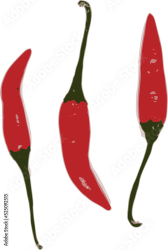 set of red chili peppers vector art.