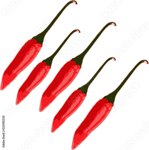 set of red chili peppers vector art.