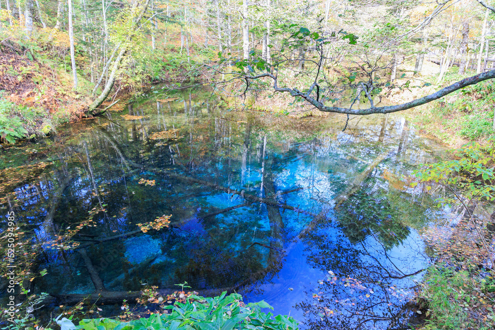 神聖な神の子池「秋の北海道」 StockFoto Adobe Stock