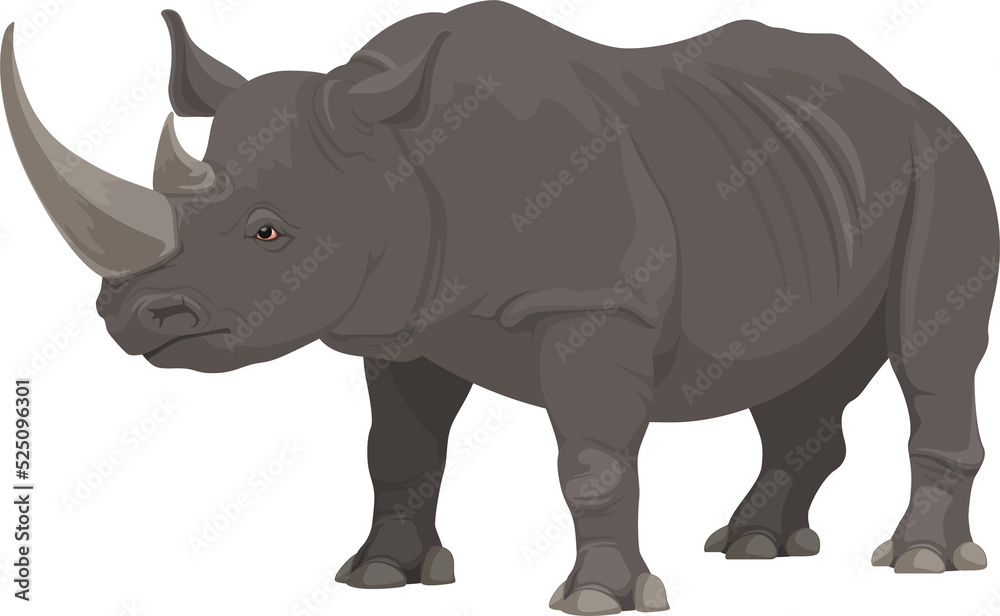 Rhinoceros, African safari zoo, hunt wild animal Rhinoceros, African safari zoo, hunt wild animal