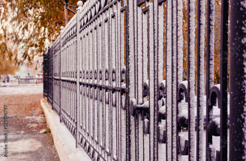 Black forged fence against the backdrop of an autumn landscape. The high metal gate is covered with the first snow.
