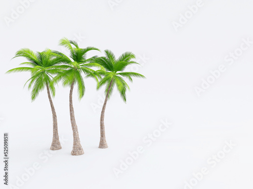 Palm trees on white background in summer season. 3D rendering  3D illustration