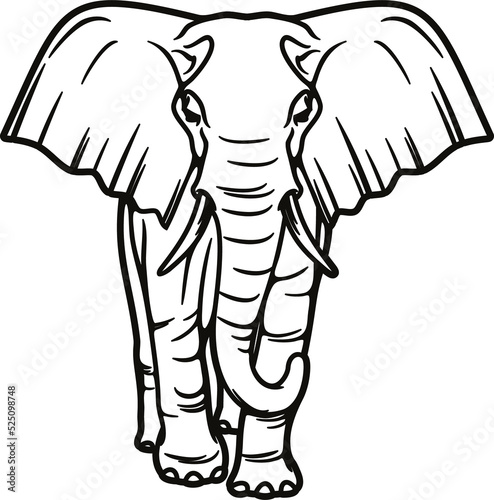 Elephant outline wild animal, vector illustration
