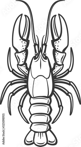 Cooked lobster isolated marine animal food snack © Vector Tradition