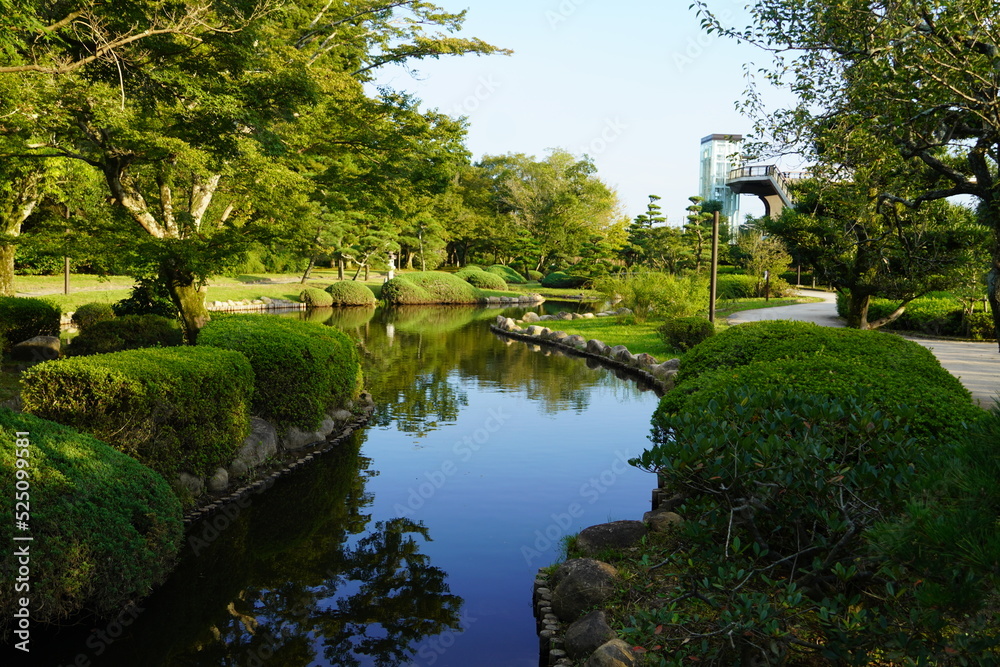 Fototapeta premium 日本庭園Japanese Garden