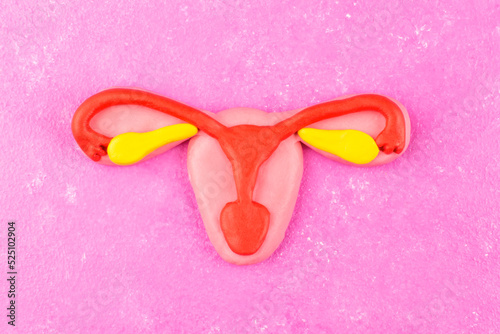A model of a female uterus on a pink background. The concept of women's health, uterine cancer and a woman's reproductive system.