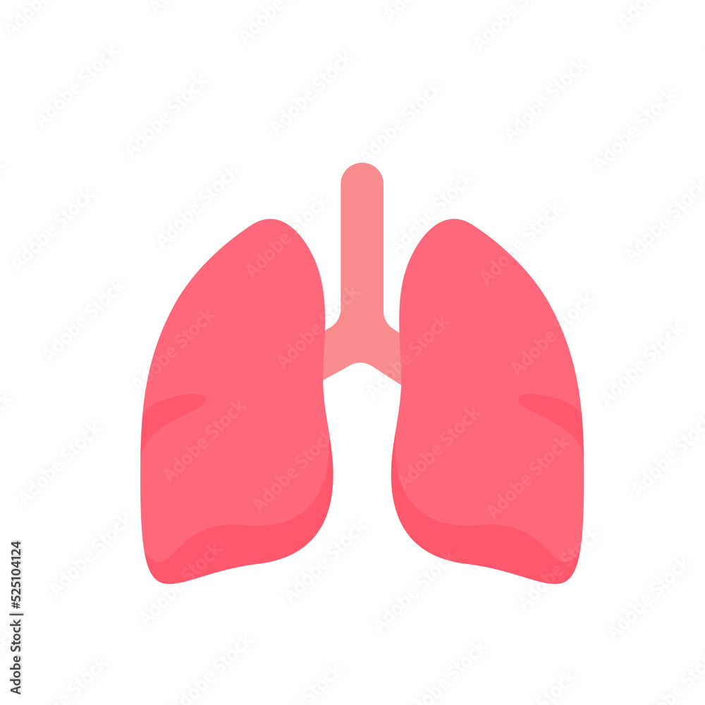 Lung icon. Lungs help to breathe oxygen into the human body. Body care concept Lung icon. Lungs help to breathe oxygen into the human body. Body care concept